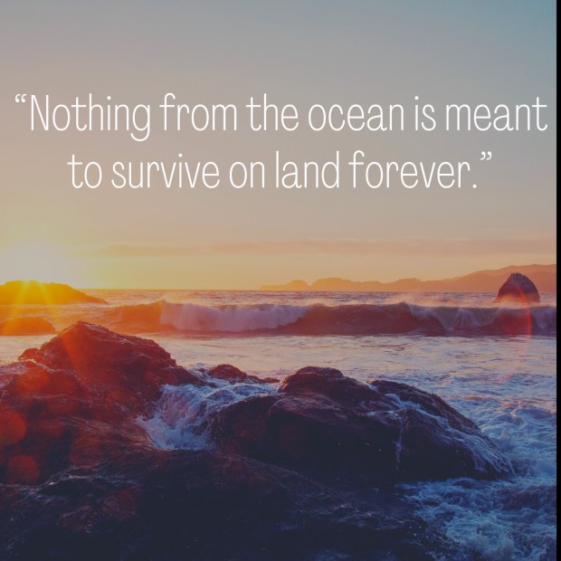 A6BC5276-1601-4A1E-BDE8-4EEDA8B537B7 (1)